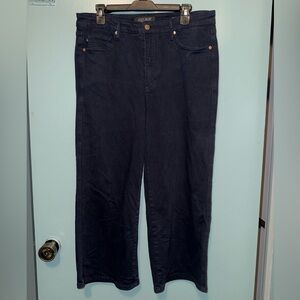 Judy Blue Midnight Navy Jeans